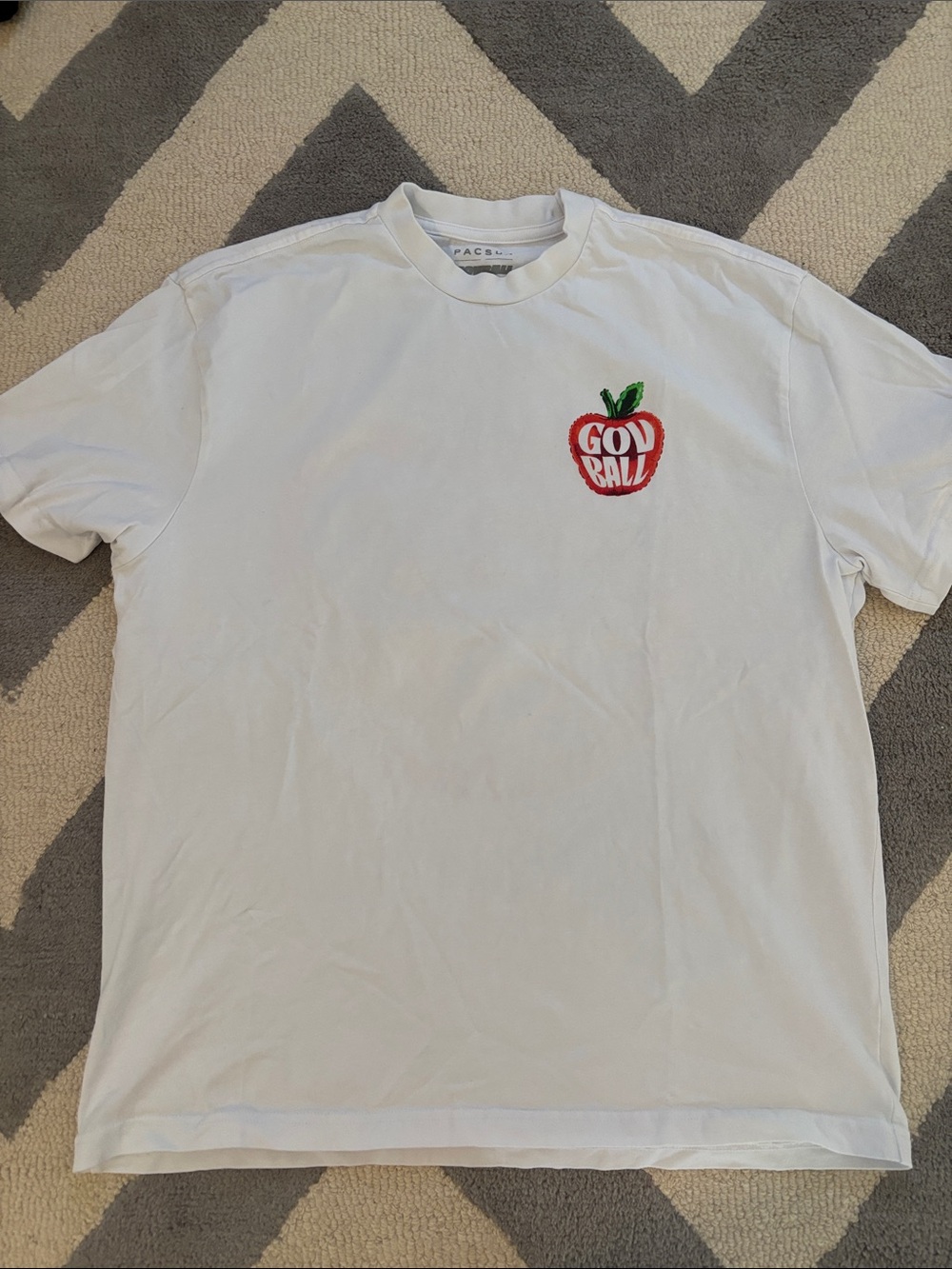Men’s Pacsun Gov Ball Heavweight T-Shirt